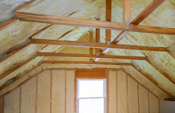 Best Cellulose Insulation in New Carlisle, OH