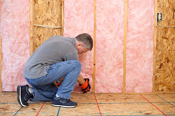 Best Geographic-Specific Insulation Services in New Carlisle, OH
