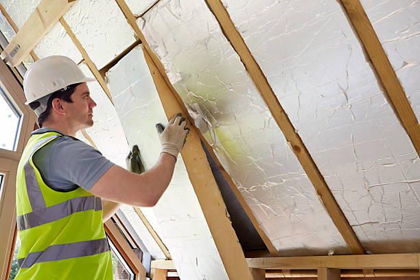 Best Eco-Friendly Insulation in New Carlisle, OH